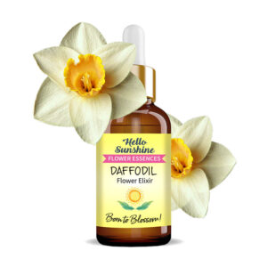 Daffodil - Hello Sunshine African Flower Essences