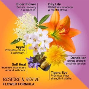 Restore & Revive - Hello Sunshine
