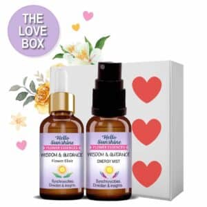 Love Box - Wisdom & Guidance