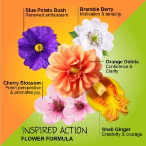 Inspired Action