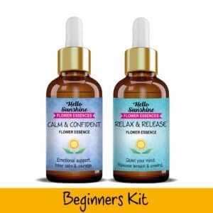 Beginners Kit