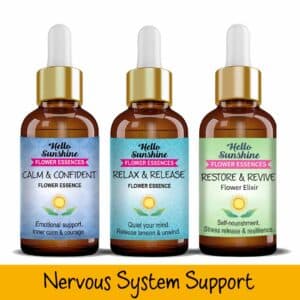 Nervous System Support Bundles