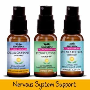 Nervous System Support