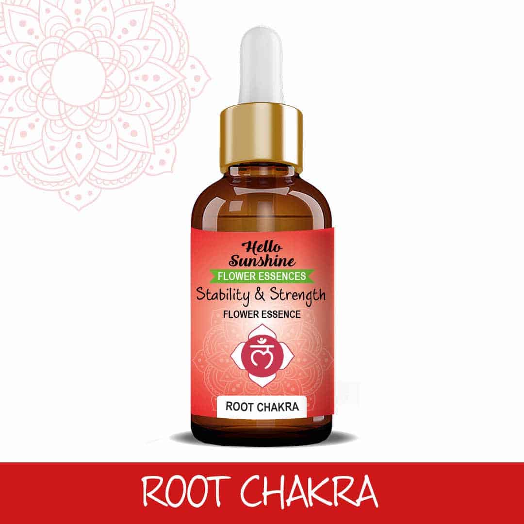 Root Chakra v